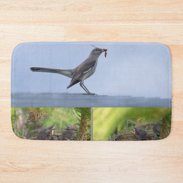 Item preview, Mockingbird with food for its babies collage designed and sold by Zina Stromberg.