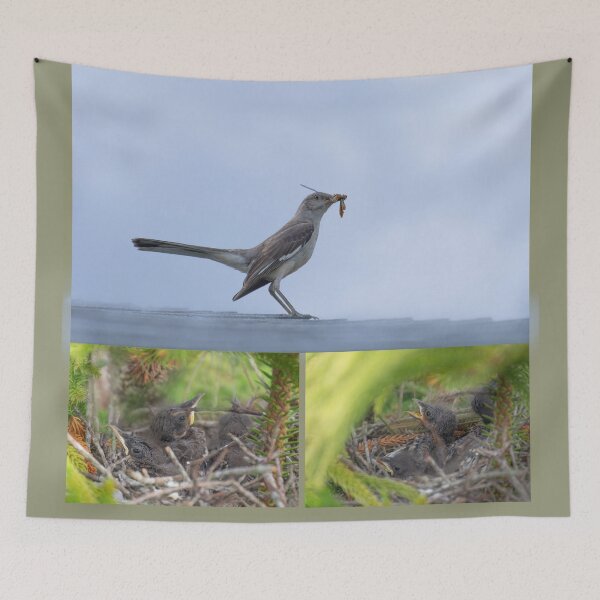 Item preview, Mockingbird with food for its babies collage designed and sold by Zina Stromberg.