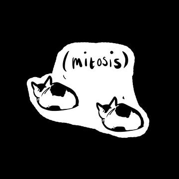 Artwork thumbnail, MITOSIS by Tyler Woodford