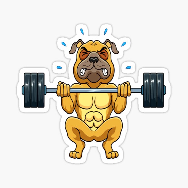 Pit Bull Weightlifting Funny Deadlift Men Fitness Gym Gifts Sticker for  Sale by HansShields