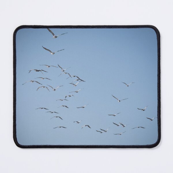 Item preview, Squadron of brown pelicans in flight designed and sold by Zina Stromberg.