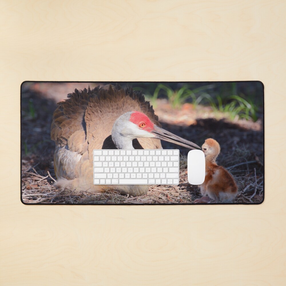 Sandhill with chick Mouse Pad