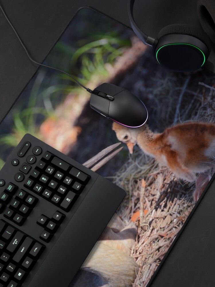 Alternate view of Sandhill with chick Mouse Pad