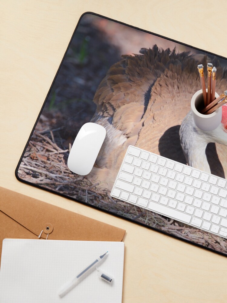 Alternate view of Sandhill with chick Mouse Pad