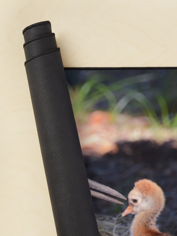 Alternate view of Sandhill with chick Mouse Pad