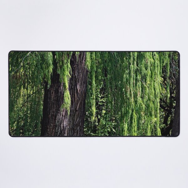 Item preview, Old Weeping Willow Tree Forest designed and sold by worldways.