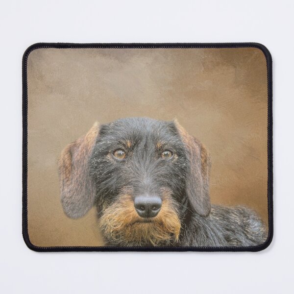Item preview, Wire-Haired Dachshund designed and sold by Elisabeth Lucas.