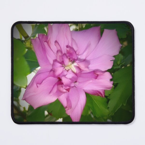 Item preview, Rose of Sharon designed and sold by ElphCreations.