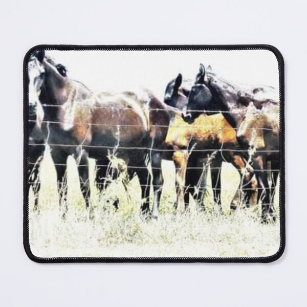 Item preview, Half-broke Horses designed and sold by Pegsterpower.