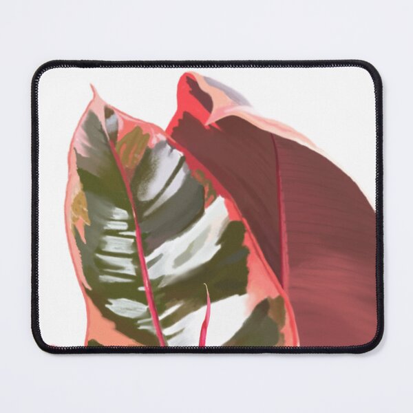Item preview, Ruby Rubber Tree leaf plant lover designed and sold by camilacarvalho.