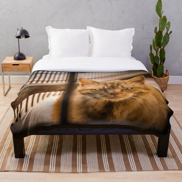 Item preview, Behind The Bars - Portrait of a Sad Ginger Cat  designed and sold by Vienewi.