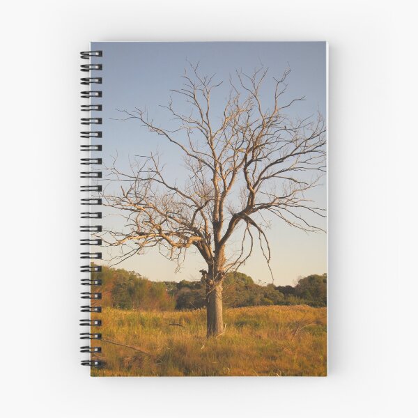 Item preview, The Lone Tree designed and sold by LizEllisPhotos.