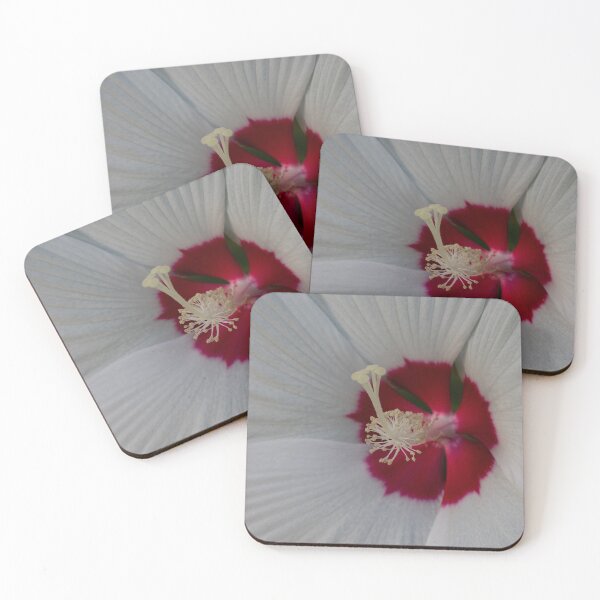 Item preview, Close-Up of White Dinner Plate Hibiscuus designed and sold by Gerda Grice Photography.