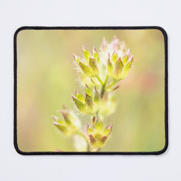 Item preview, Soft Focus Nature designed and sold by SofiaAlves.