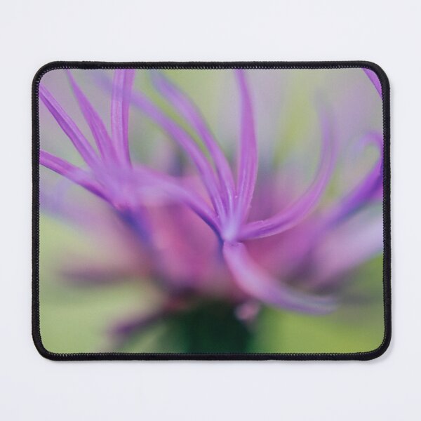 Item preview, Mountain Cornflower designed and sold by SofiaAlves.