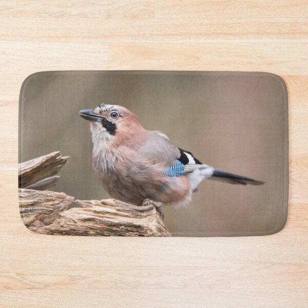 Item preview, Eurasian Jay #2 designed and sold by Dominika Aniola.