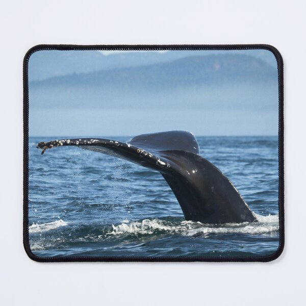 Item preview, Diving Humpback Whale designed and sold by capturemily.