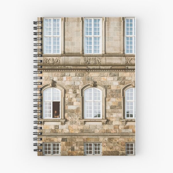 Item preview, Cleaning Windows designed and sold by Errne.