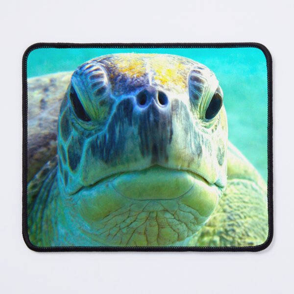 Item preview, Sea Turtle is Judging You designed and sold by muskitt.