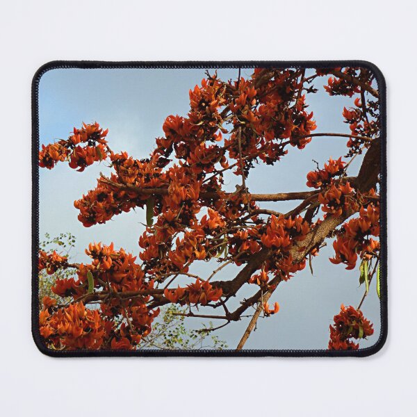 Item preview, Flowering Butea Tree Branches designed and sold by worldways.
