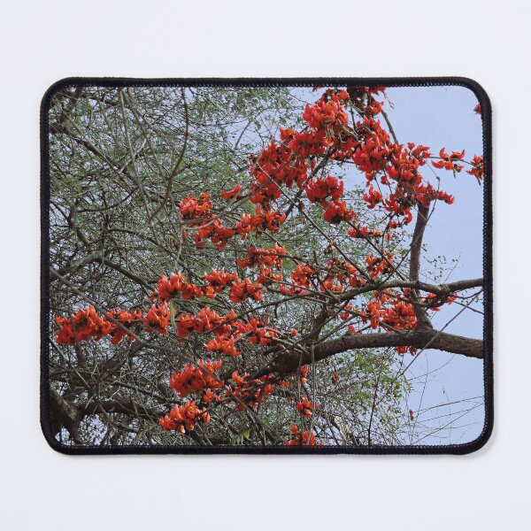 Item preview, Blooming Butea Tree Branches designed and sold by worldways.