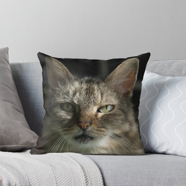 Item preview, Green Eyes in Sunlight designed and sold by Barry Doherty.
