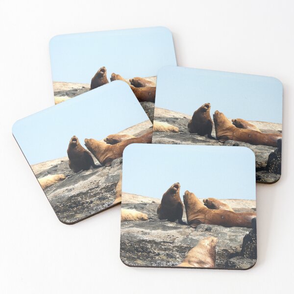 Item preview, Singing Sea Lions designed and sold by capturemily.