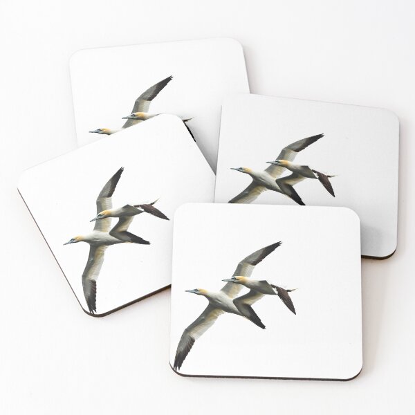 Item preview, Gannets in Flight designed and sold by DaveMacNeil.