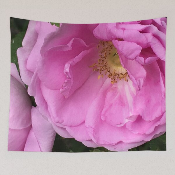 Item preview, Fragrant Rose designed and sold by Ric1926.