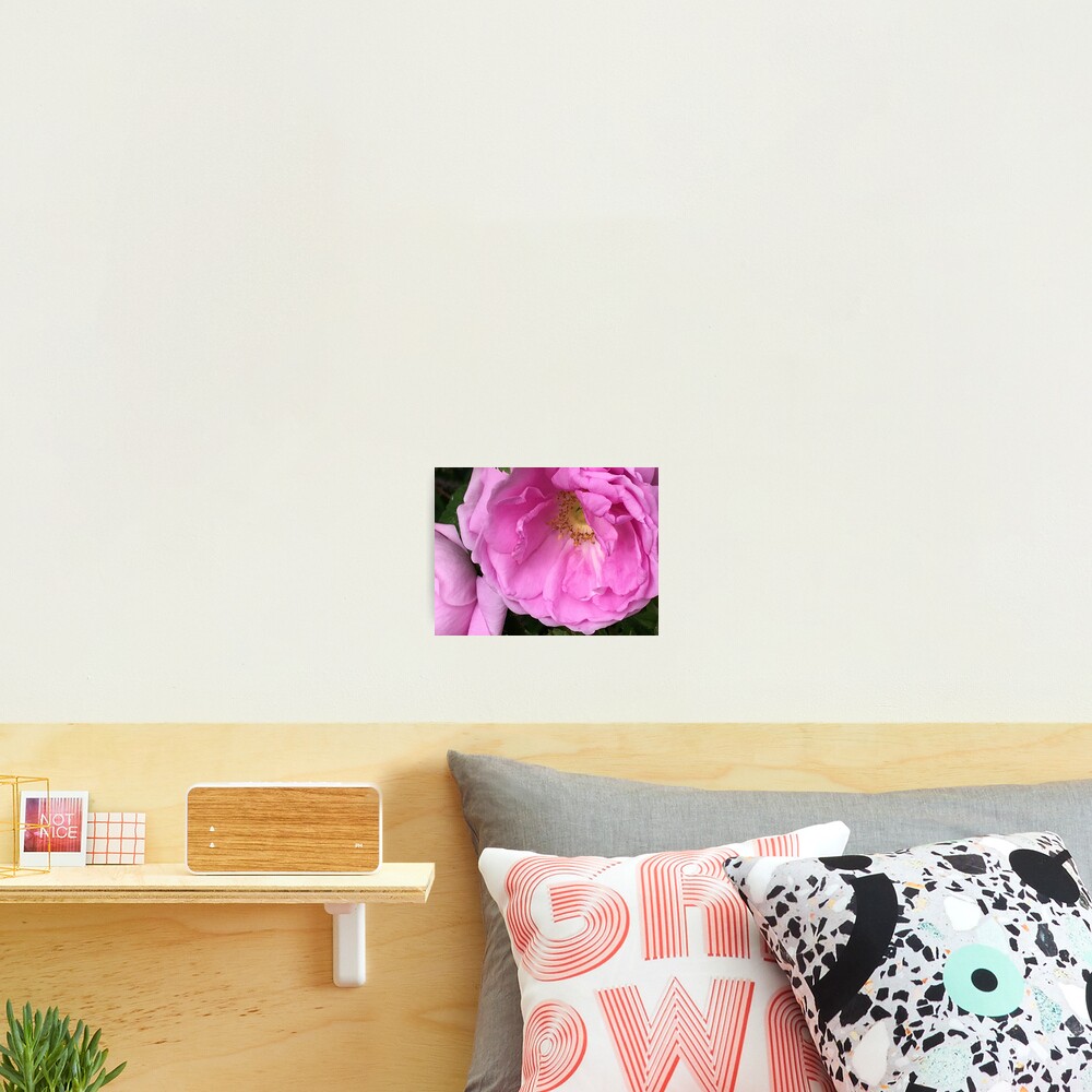 Item preview, Photographic Print designed and sold by Ric1926.