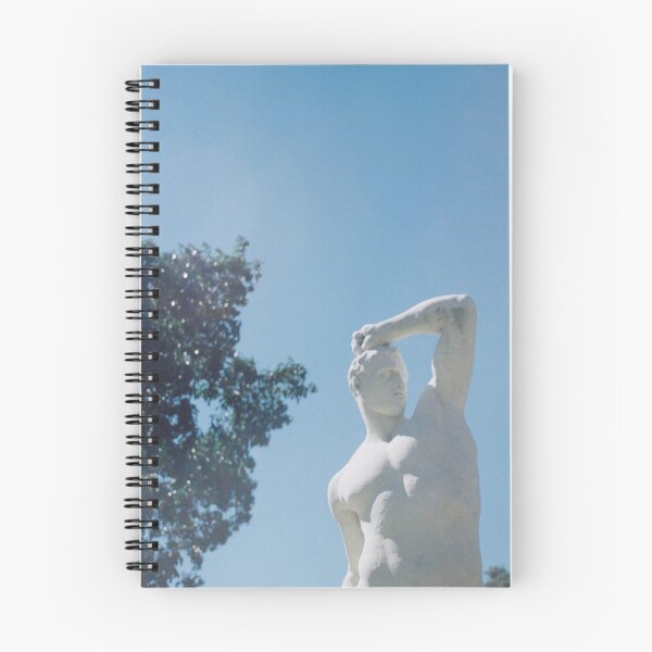 Item preview, estatua contra el azul designed and sold by milkpool.