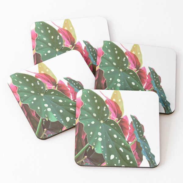 Item preview, Polkadot Begonia plant lover designed and sold by camilacarvalho.