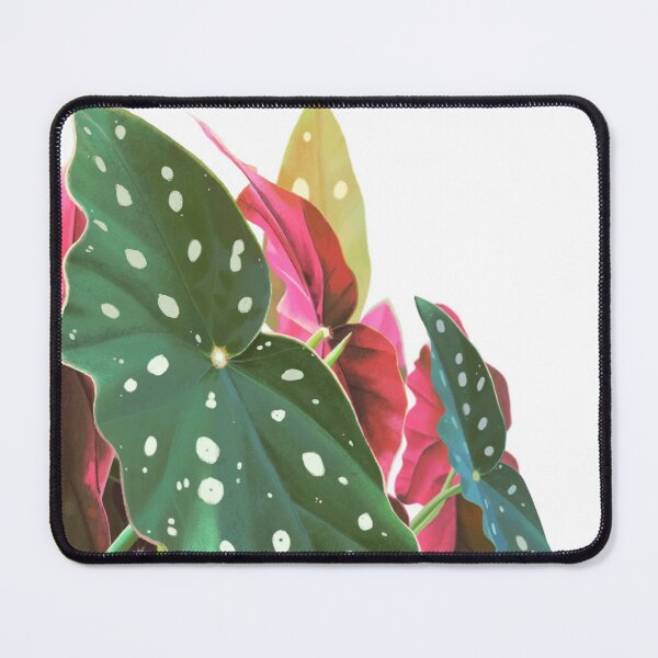 Item preview, Polkadot Begonia plant lover designed and sold by camilacarvalho.