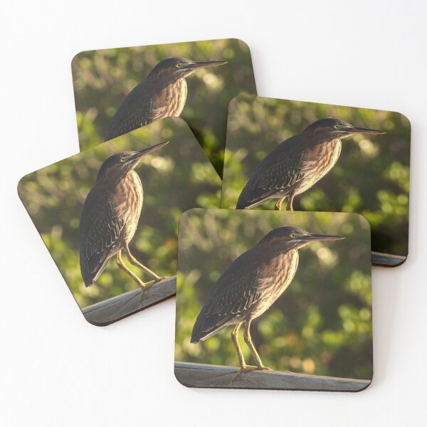 Item preview, Green Heron Morning designed and sold by Rhovanel.
