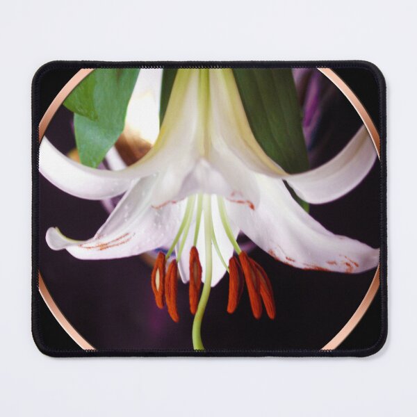 Item preview, Juicy Flying Casablanca Lily  designed and sold by Nobiya.