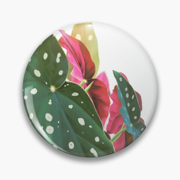 Item preview, Polkadot Begonia plant lover designed and sold by camilacarvalho.