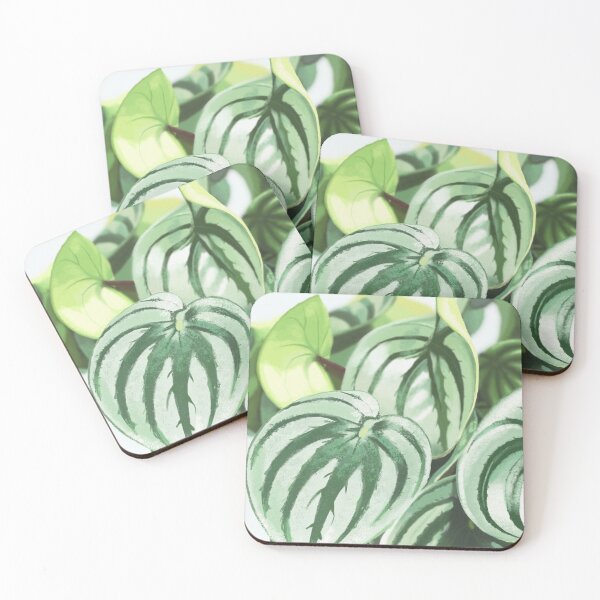 Item preview, Watermelon Peperomia plant lover designed and sold by camilacarvalho.