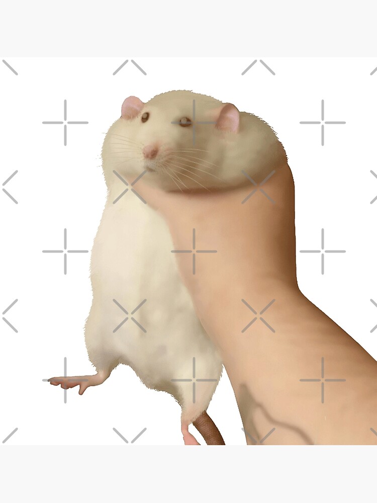 "holding chonk rat" Poster for Sale by AGZOULINES Redbubble
