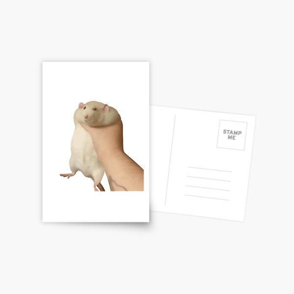 holding chonk rat Postcard