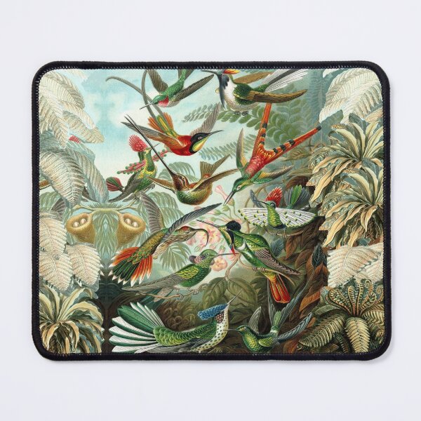 Item preview, HUMMINGBIRDS AND TROPICAL PLANTS  Trochilidae designed and sold by BulganLumini.