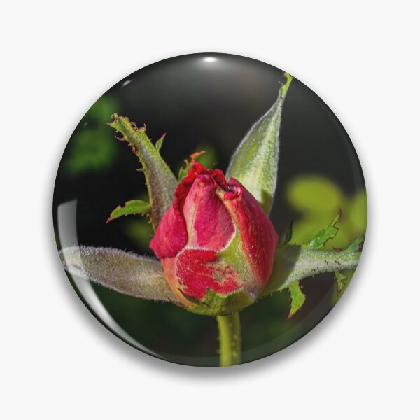 Item preview, A New Beginning  designed and sold by Lanis Rossi.
