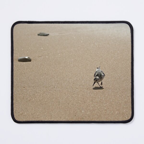 Item preview, Sandpiper bird on wet sand  designed and sold by Anna Lemos.