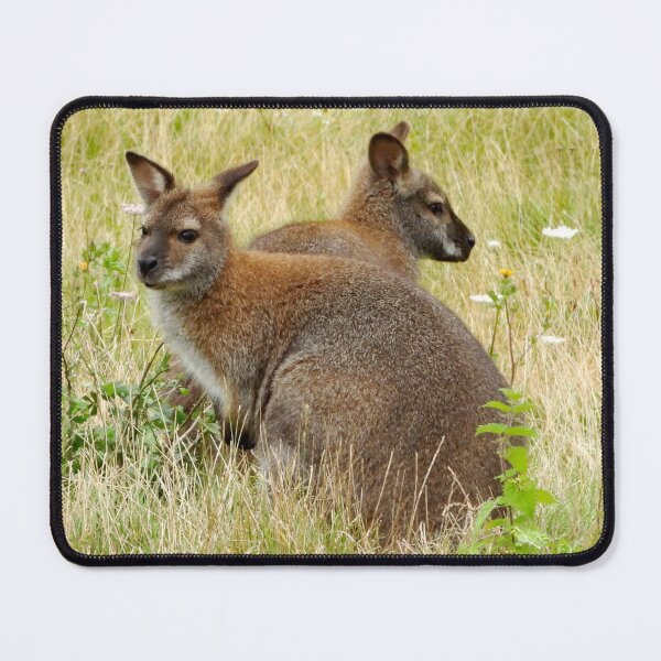 Item preview, A Wonderful Pair of Wallabies designed and sold by Karen Thomson.
