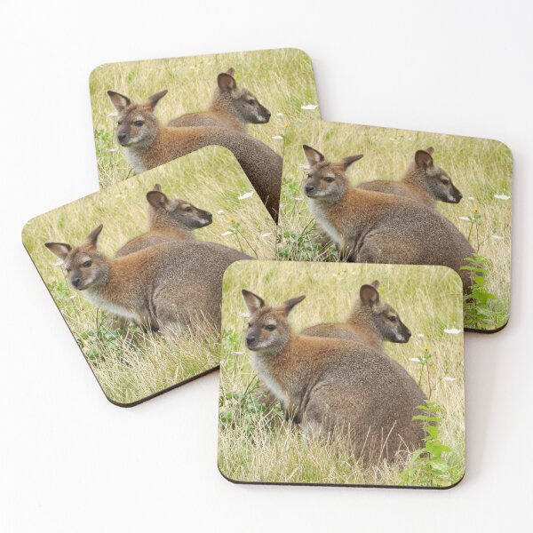 Item preview, A Wonderful Pair of Wallabies designed and sold by Karen Thomson.