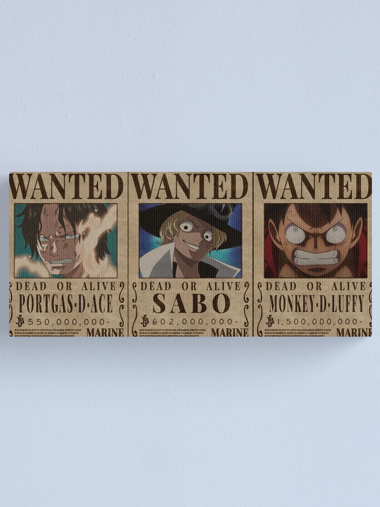 Asl Trio One Piece Ace Sabo Luffy Canvas Print By Patrika Redbubble