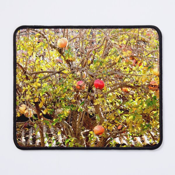 Item preview, Urban Pomegranate Tree designed and sold by Anna Lemos.