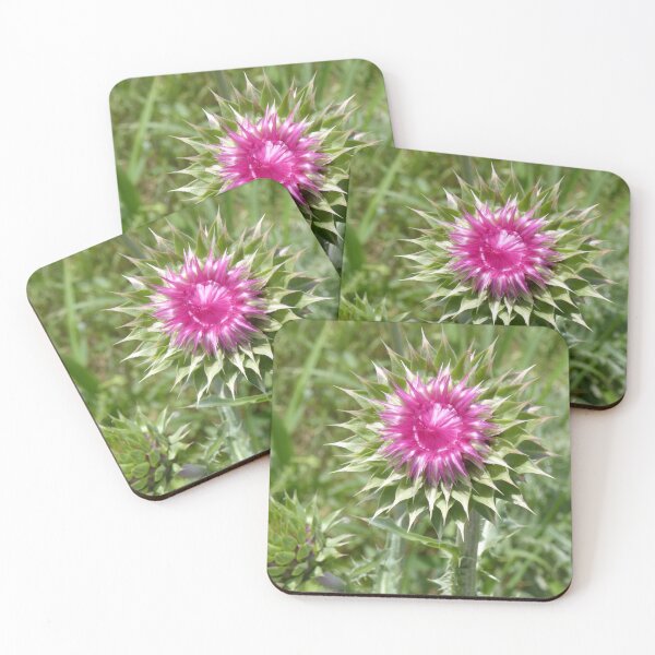 Item preview, Pink Thistle Plant designed and sold by CarolM.