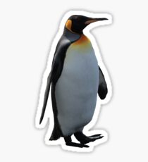 Penguin Sticker