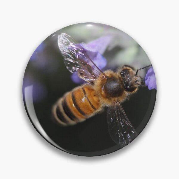 Item preview, Flying Honeybee designed and sold by photosbyastra.