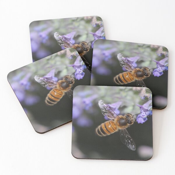 Item preview, Flying Honeybee designed and sold by photosbyastra.